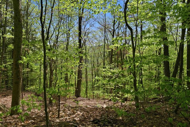 339 George Road, Hebron, NH 03241