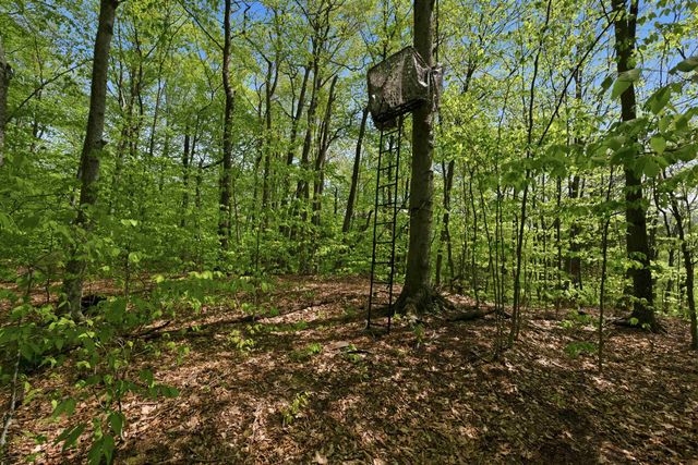 339 George Road, Hebron, NH 03241