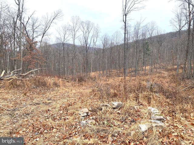 CARDINAL VIEW ROAD, Paw Paw, WV 25434