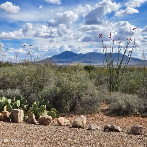 995 S RUBY DARE Road, Bisbee, AZ 85603