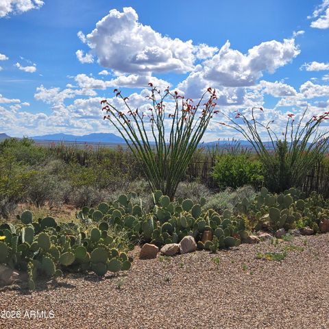 995 S RUBY DARE Road, Bisbee, AZ 85603