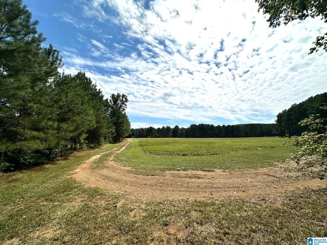 890 COUNTY ROAD 7, Talladega, AL 35160