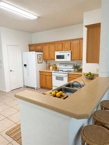 20008 NOB OAK AVENUE, Tampa, FL 33647
