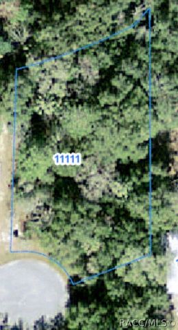 11111 W Samson Lane, Crystal River, FL 34428
