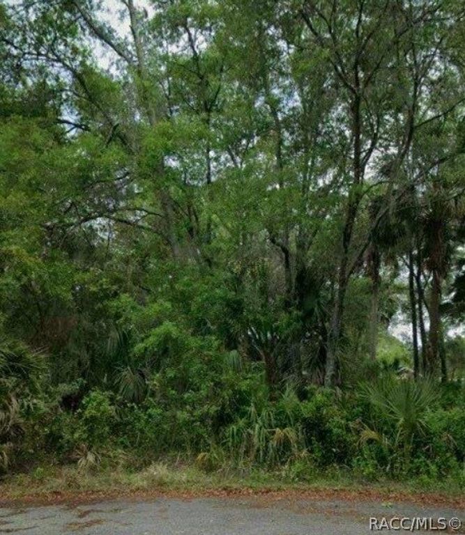 11111 W Samson Lane, Crystal River, FL 34428
