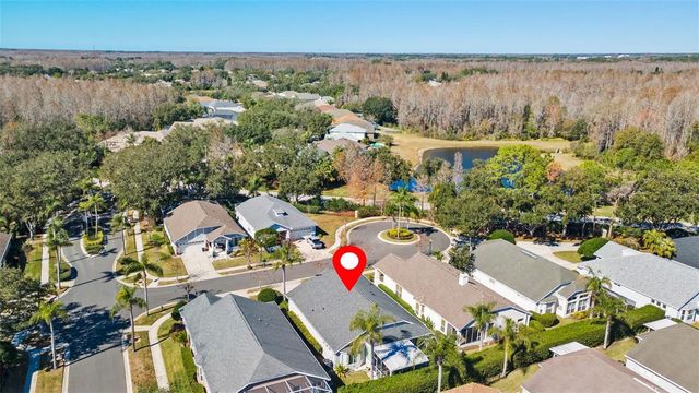 19413 GOLDEN SLIPPER PLACE, Lutz, FL 33558