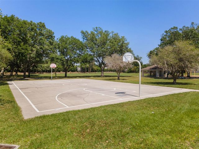 19413 GOLDEN SLIPPER PLACE, Lutz, FL 33558