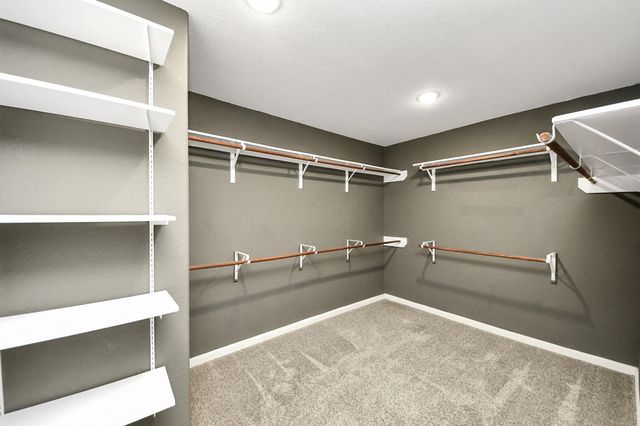 9726 Shimmering Lakes Drive, Rosharon, TX 77583