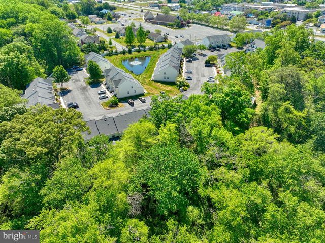 17461 TARAMINO PL, Lewes, DE 19958