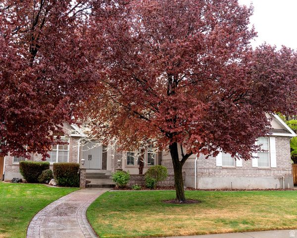 899 E 800 S, Springville, UT 84663