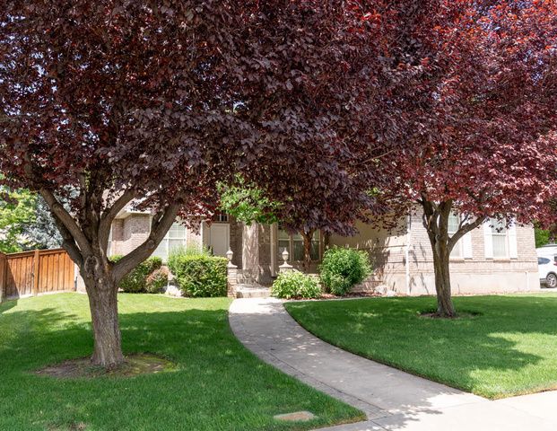 899 E 800 S, Springville, UT 84663