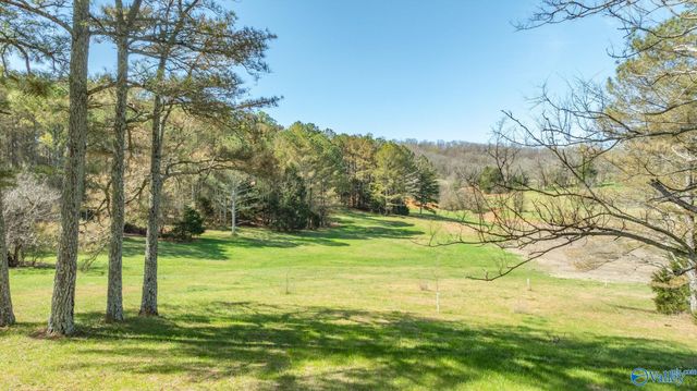 5339 Columbia Highway, Pulaski, TN 38478