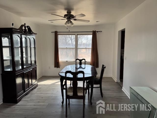 173 Metlars Lane, Piscataway, NJ 08854