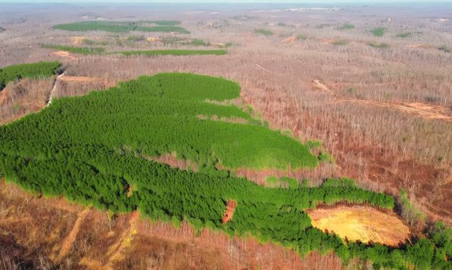 18 Maple Road, Stewart, TN 37175