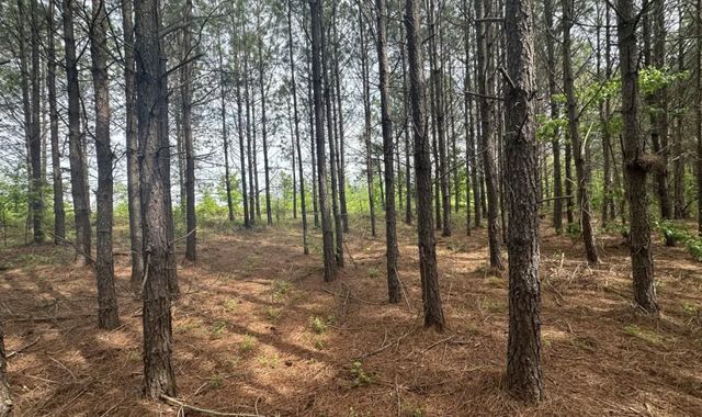 18 Maple Road, Stewart, TN 37175