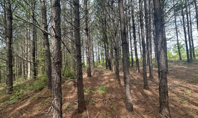 18 Maple Road, Stewart, TN 37175