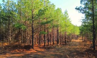 18 Maple Road, Stewart, TN 37175