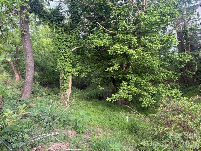 111 Waynesville Avenue, Asheville, NC 28806