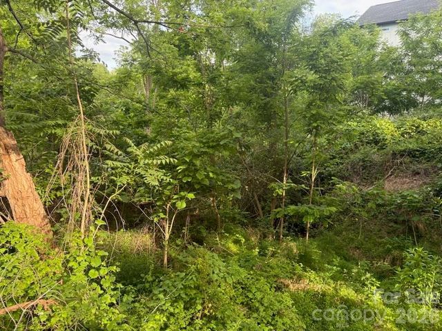 111 Waynesville Avenue, Asheville, NC 28806