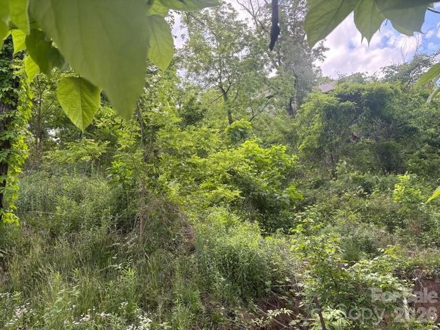 111 Waynesville Avenue, Asheville, NC 28806