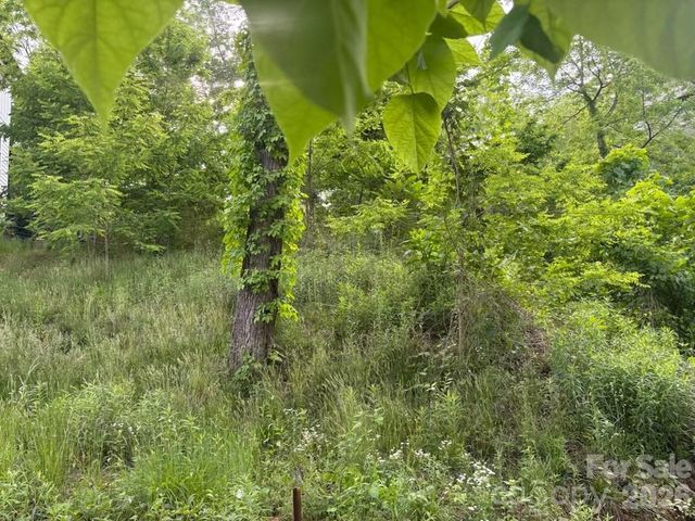111 Waynesville Avenue, Asheville, NC 28806