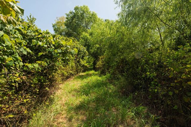 10628 FM 1125 Highway, Bowie, TX 76230