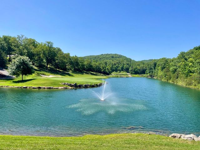 1241 Golf Drive 1, Branson West, MO 65737