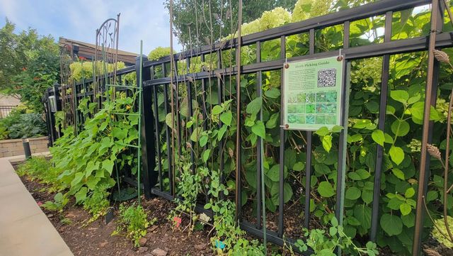 3930 N Pine Grove Avenue 2313, Chicago, IL 60613