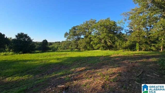 1663 COUNTY ROAD 2, Montevallo, AL 35115