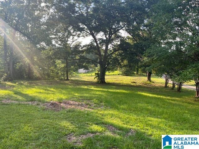 1663 COUNTY ROAD 2, Montevallo, AL 35115