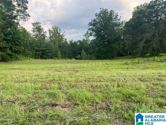 1663 COUNTY ROAD 2, Montevallo, AL 35115