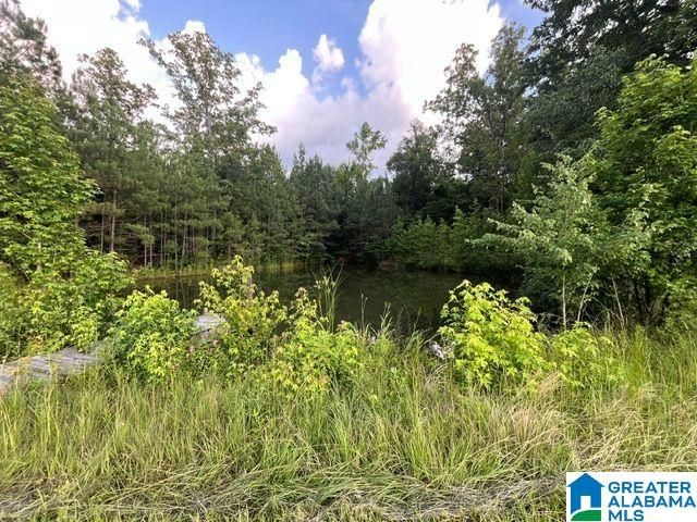 1663 COUNTY ROAD 2, Montevallo, AL 35115