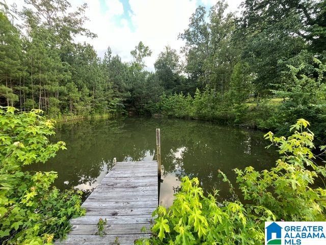 1663 COUNTY ROAD 2, Montevallo, AL 35115