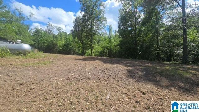 1663 COUNTY ROAD 2, Montevallo, AL 35115
