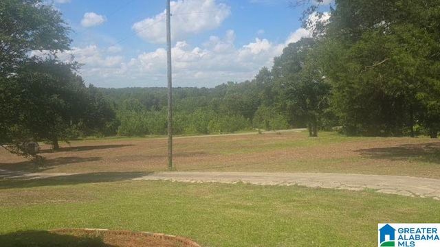 1663 COUNTY ROAD 2, Montevallo, AL 35115