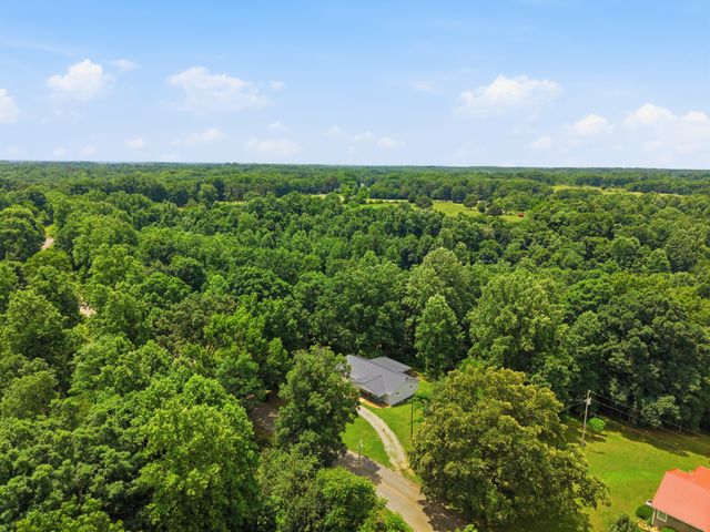 8836 W Sheepneck Rd, Mount Pleasant, TN 38474