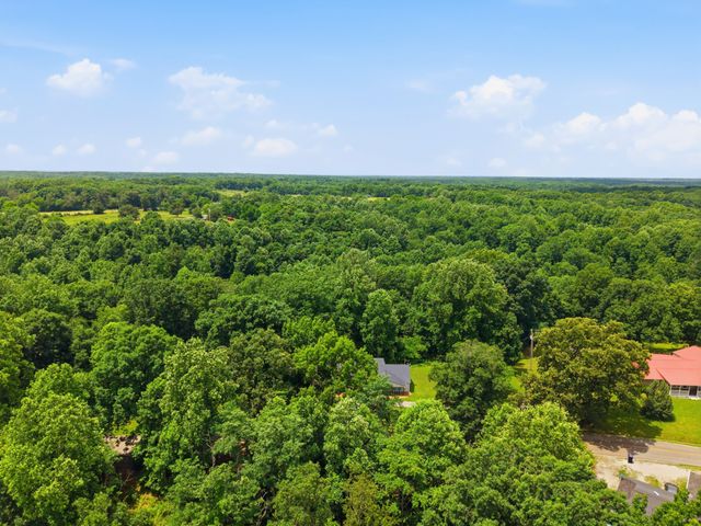 8836 W Sheepneck Rd, Mount Pleasant, TN 38474