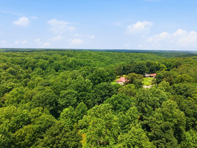 8836 W Sheepneck Rd, Mount Pleasant, TN 38474