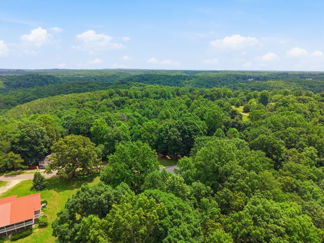 8836 W Sheepneck Rd, Mount Pleasant, TN 38474