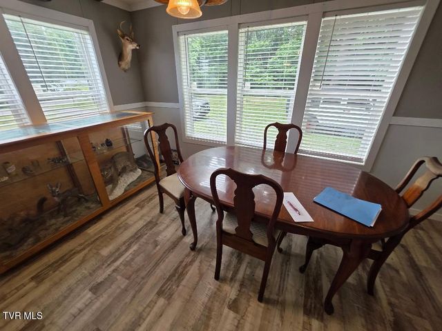 176 Rivershadows Drive, Rogersville, TN 37857