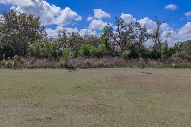 41049 STANTON HALL DRIVE, Dade City, FL 33525