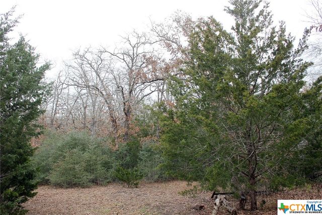 8729 E Fm 20, Dale, TX 78616