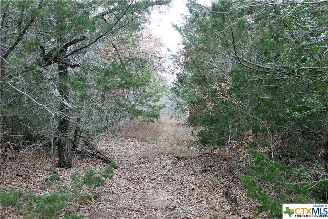 8729 E Fm 20, Dale, TX 78616