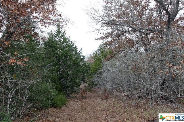 8729 E Fm 20, Dale, TX 78616