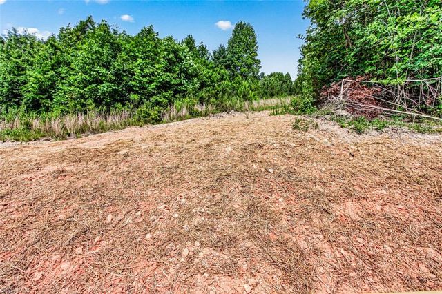 1503 Mulberry Academy Street, Franklinville, NC 27248