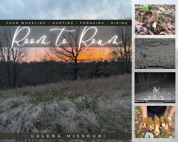 1845 Sycamore Ranch Road, Galena, MO 65656