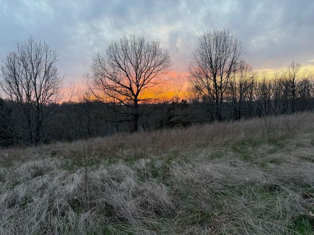 1845 Sycamore Ranch Road, Galena, MO 65656