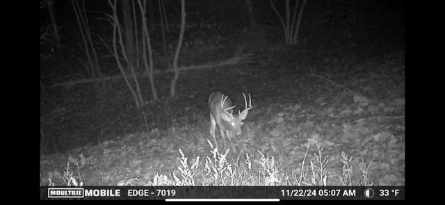 1845 Sycamore Ranch Road, Galena, MO 65656