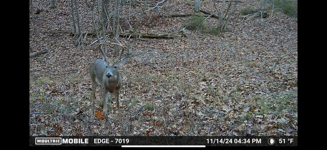 1845 Sycamore Ranch Road, Galena, MO 65656