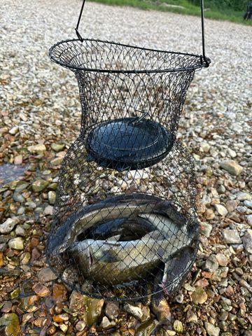 1845 Sycamore Ranch Road, Galena, MO 65656